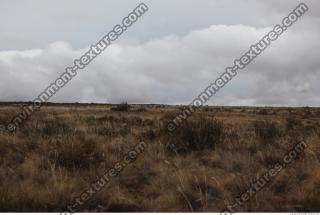 photo texture of background nature summer